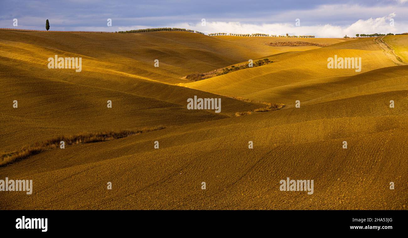 Typical rural fields and landscape in Tuscany Italy Stock Photo - Alamy