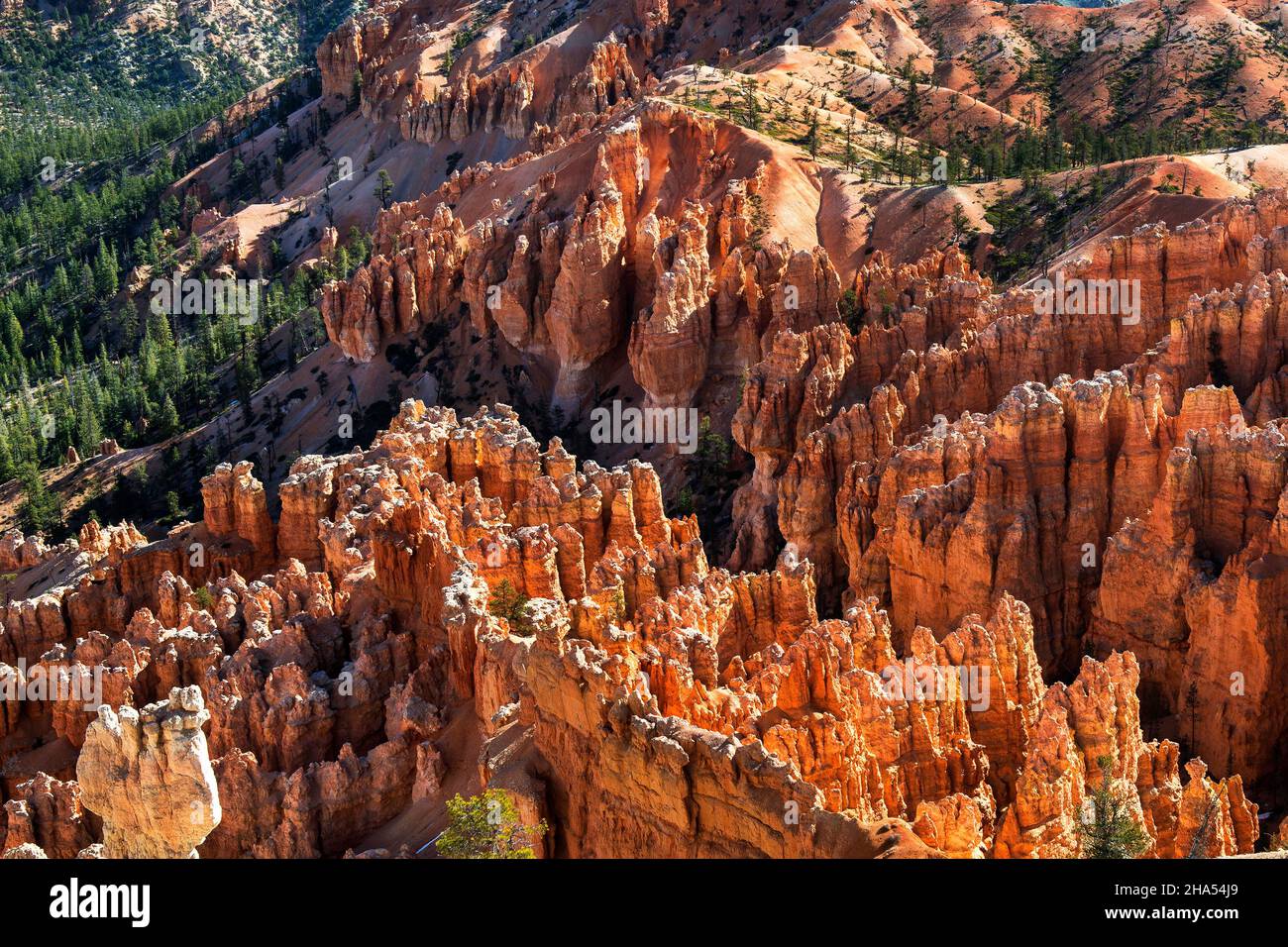 Bryce Point is one of the most scenic vistas of the full amphitheater, Bryce Canyon National Park, Utah Stock Photo
