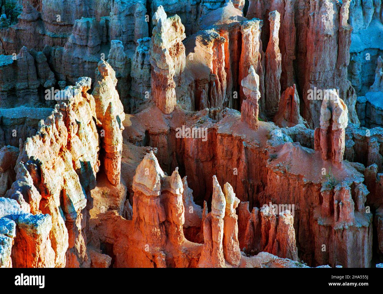 Bryce Point is one of the most scenic vistas of the full amphitheater, Bryce Canyon National Park, Utah Stock Photo