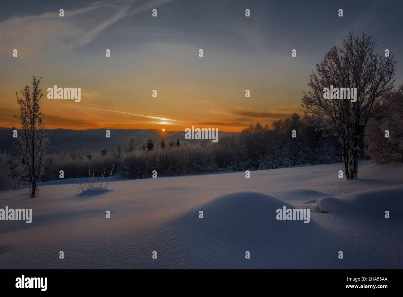 winter mountain landscape during an sunset with trees Stock Photo