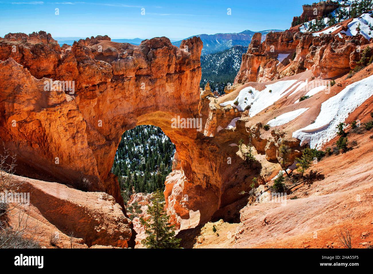 Natural Bridge is one of several natural arches in Bryce Canyon and creates a beautiful scene at this viewpoint, Bryce Canyon National Park, Utah Stock Photo