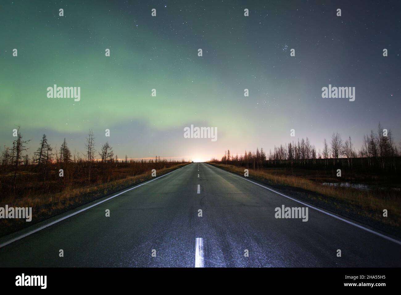 Northern lights (Aurora Borealis) over the road and the dry tundra