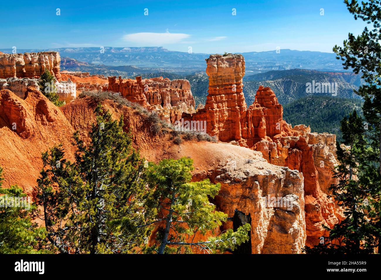Ponderosa Canyon is a viewpoint that overlooks brilliant vermilion hoodoos, Bryce Canyon National Park, Utah Stock Photo