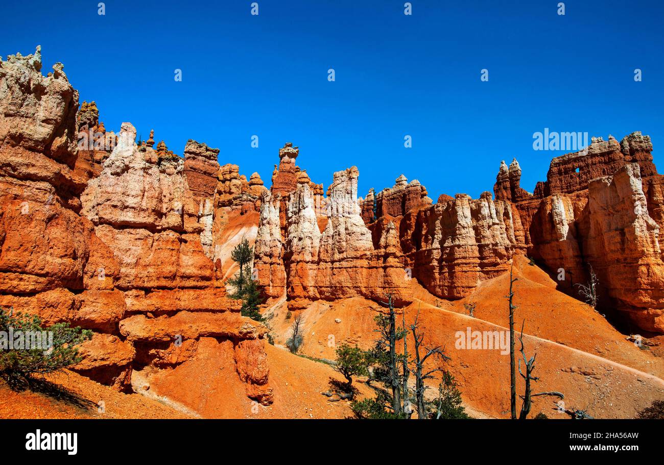 Queens Garden Trail, Bryce Canyon National Park, Utah Stock Photo