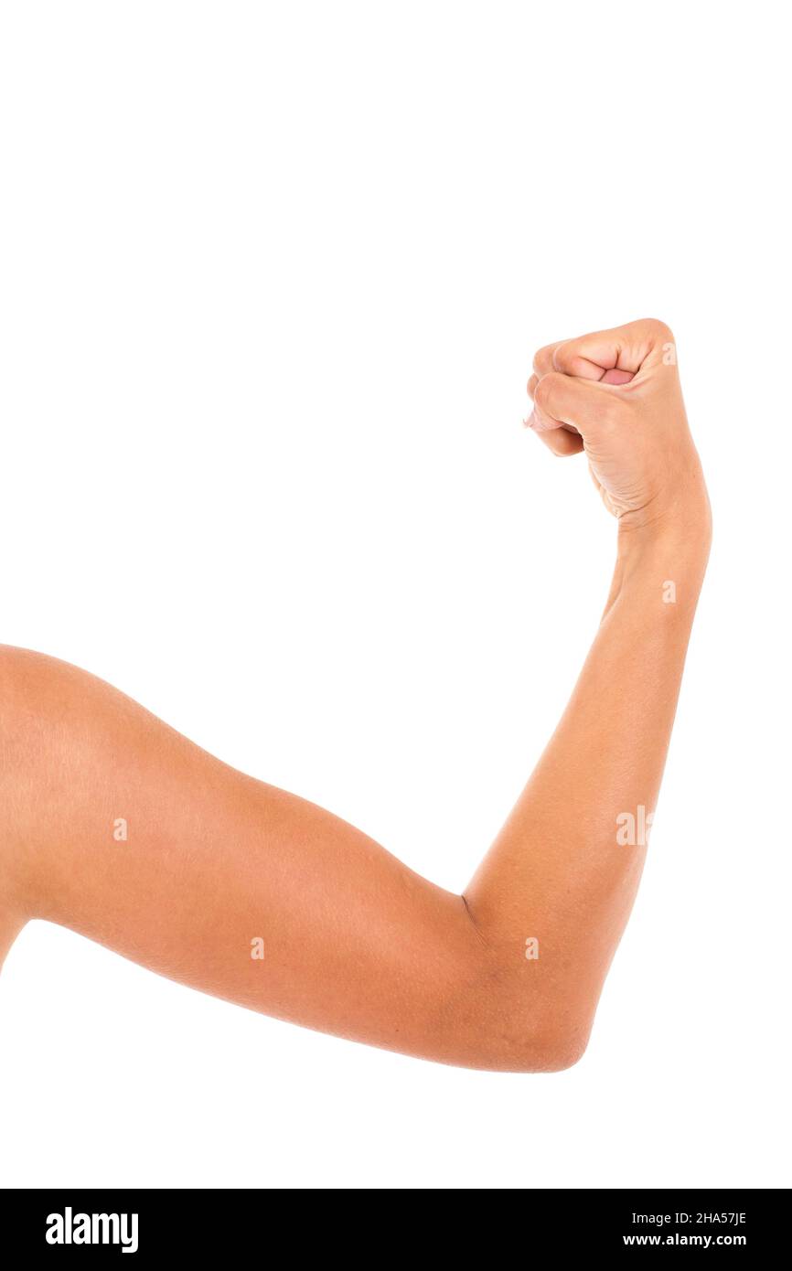 fist, body part, woman, elbow, arm, forearm, powerful, concentrated, background, teen, one, hand, young, body, limb, girls, human, muscle, nice, white Stock Photo