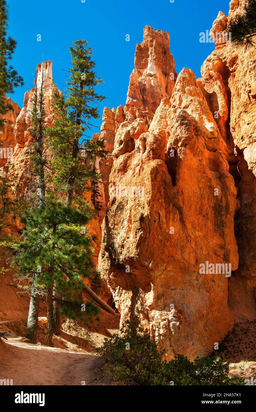 Vertical Spires on the Navajo Trail, Bryce Canyon National Park, Utah Stock Photo