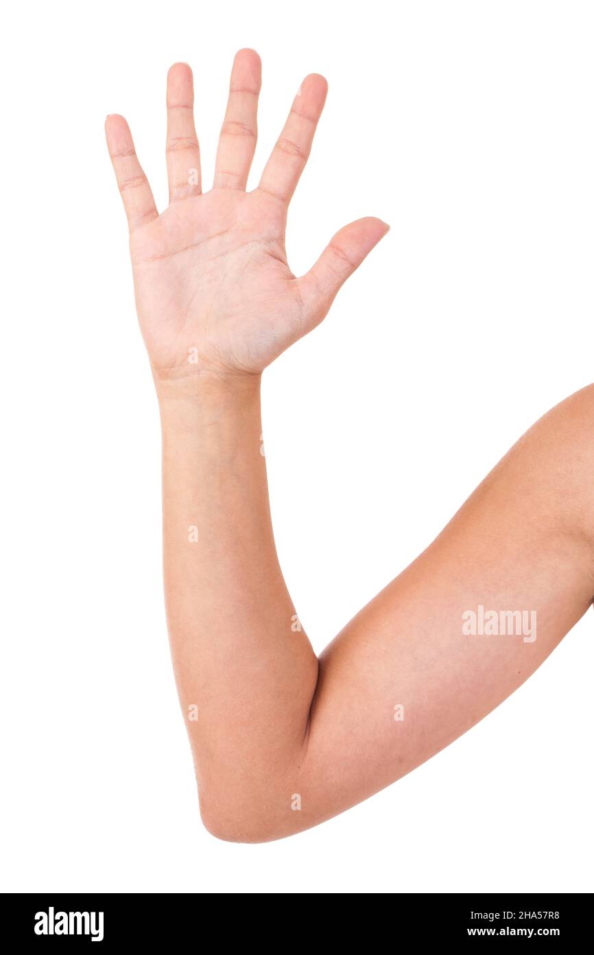 fingers, stop, hand, five, reject, number, number 5, count, show ...
