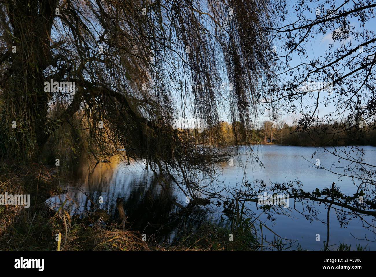 An attractive lake, with the rivers Colne and Frays running alongside. Ideal for walking