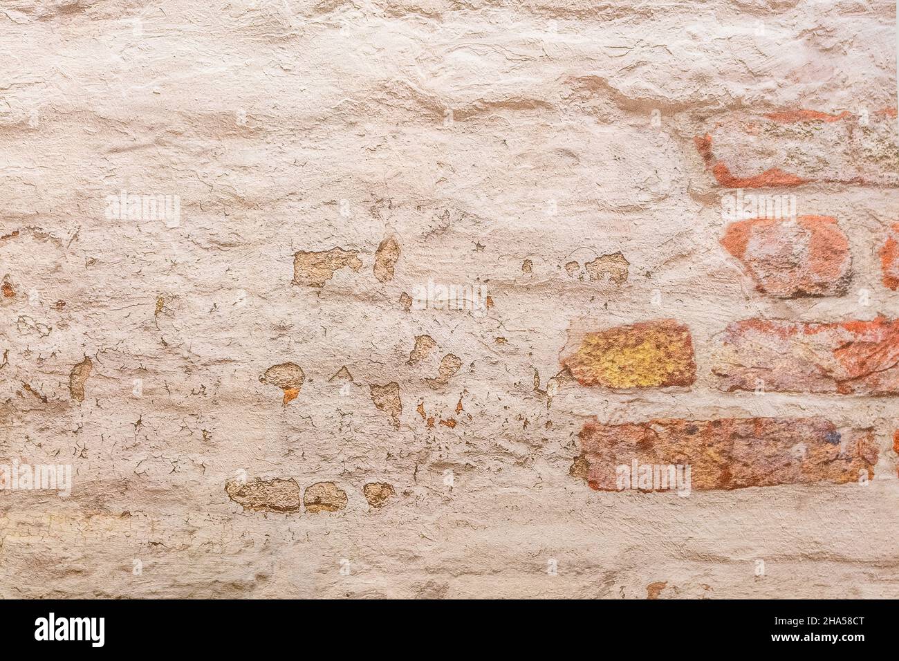 Stone background panorama for background creation. Stock Photo