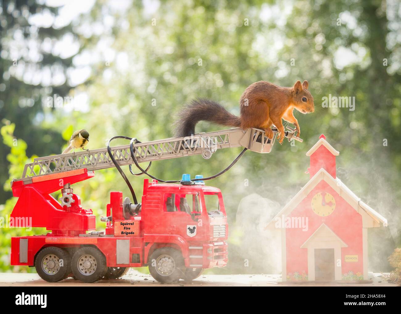 red squirrel and bird with an fire brigade truck Stock Photo