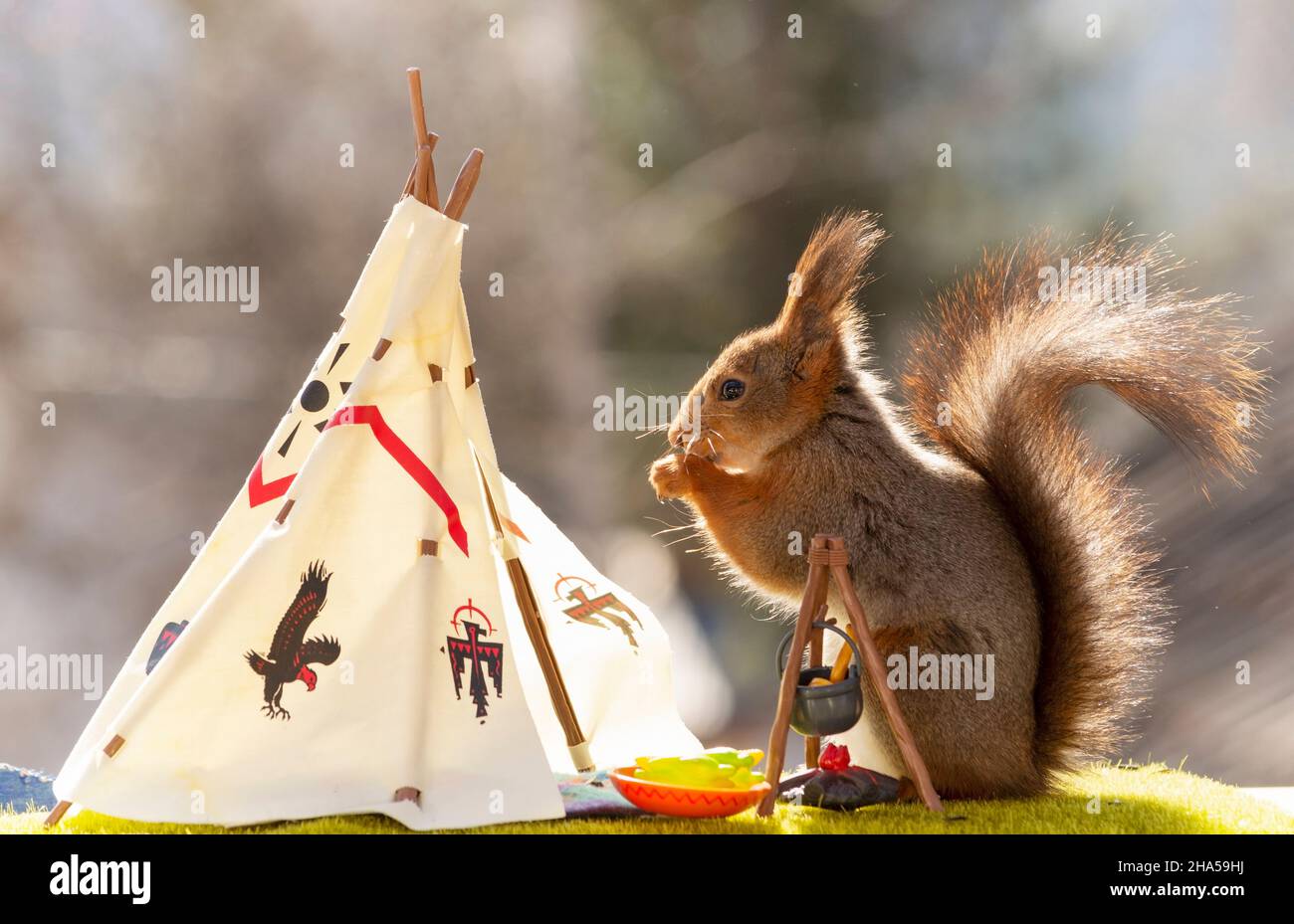 red squirrel is standing with a fire place and teepee Stock Photo