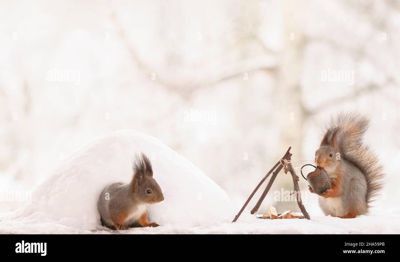 red squirrels standing with an igloo and fire place Stock Photo