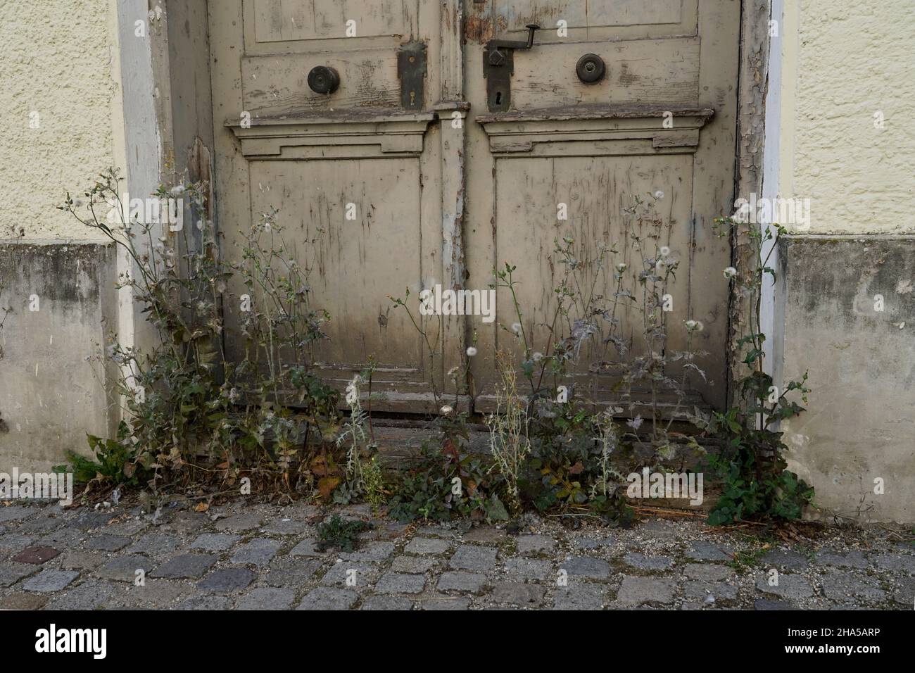 germany,bavaria,altötting district,vacant house,in need of renovation,front door rotted,ingrown,weeds,detail Stock Photo