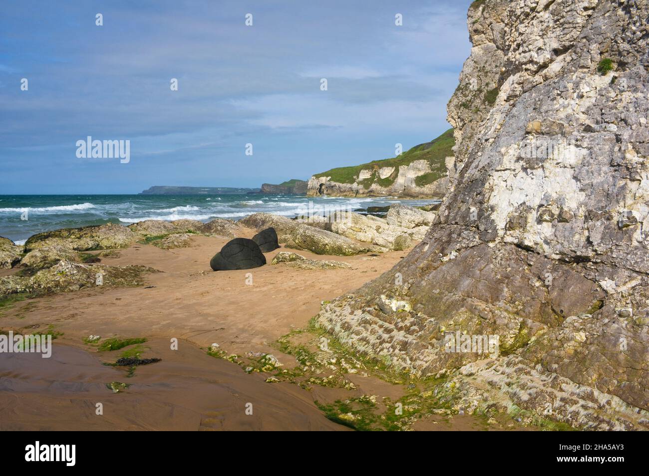 europe,northern ireland,county antrim,causeway coast,white rocks,intertidal zone,sandy beach,shell limestone cliff Stock Photo