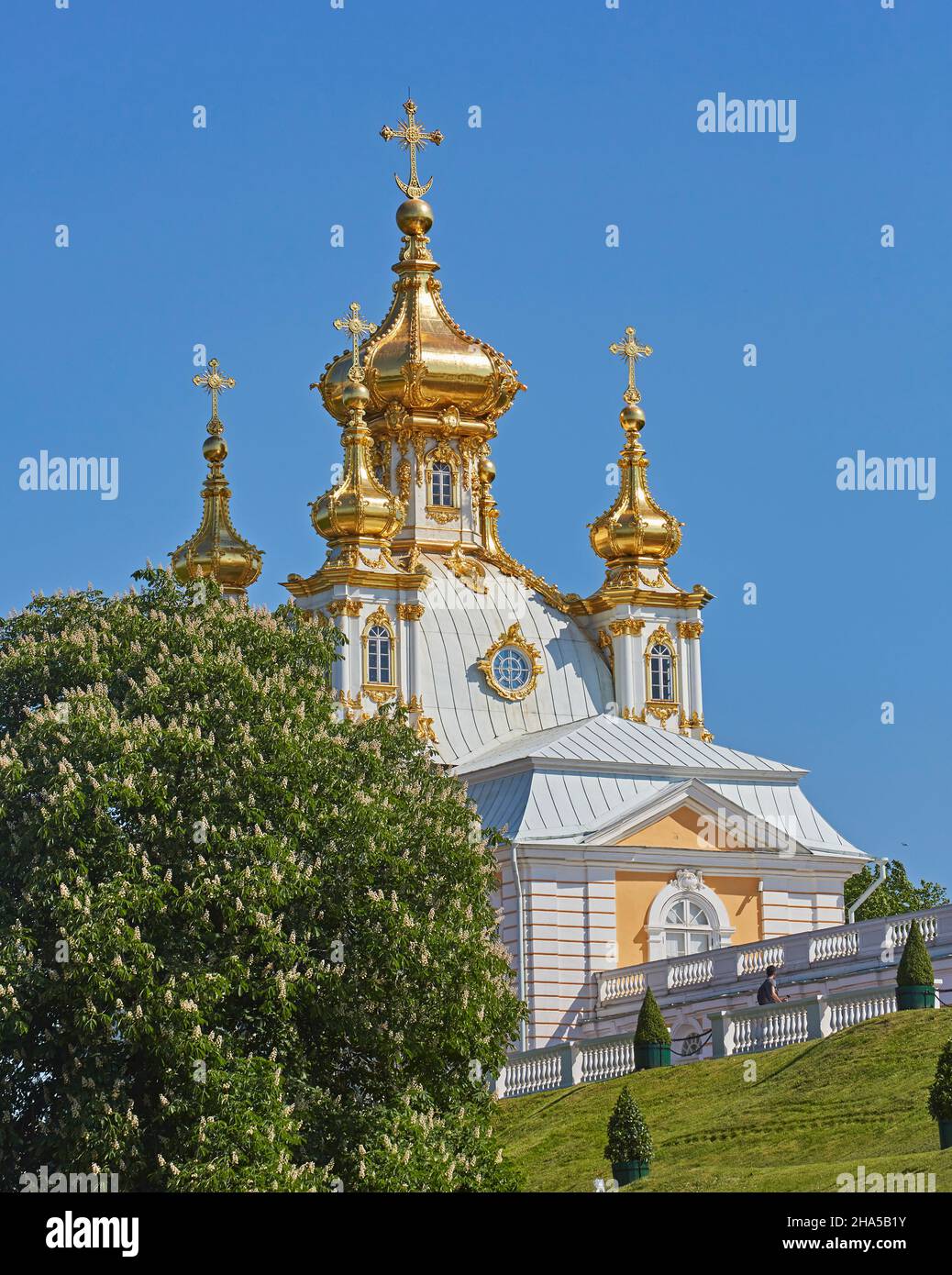 View from the Lower Park to the church in Peterhof, Petergóf near St. Petersburg, Gulf of Finland, Russia, Europe Stock Photo
