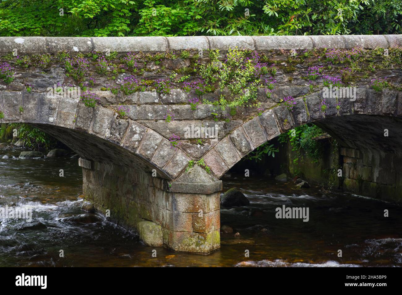 europe,republic of ireland,county wicklow,wicklow mountain national park,old sandstone bridge over the glendasan river at laragh Stock Photo