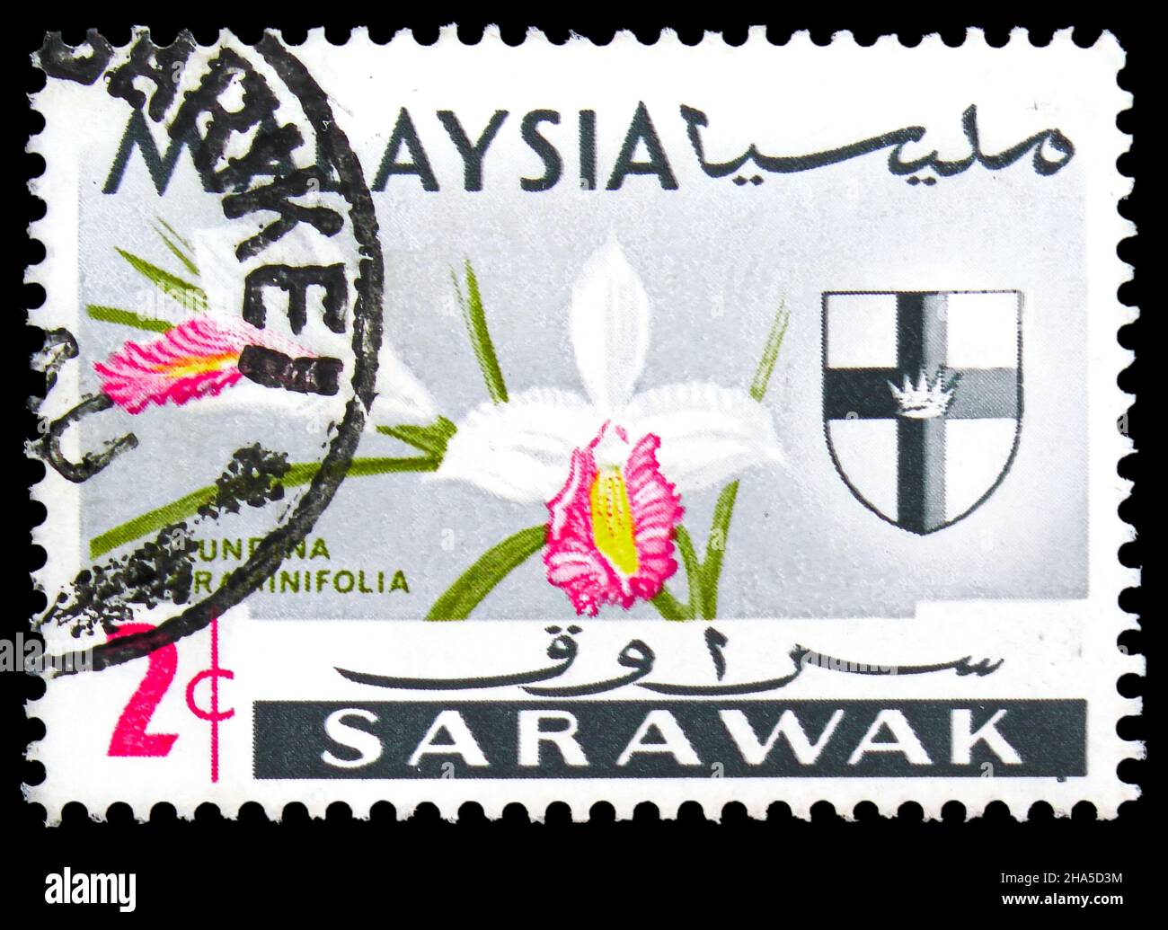 MOSCOW, RUSSIA - NOVEMBER 4, 2021: Postage stamp printed in Sarawak shows Bamboo Orchid (Arundina graminifolia), Orchids serie, circa 1965 Stock Photo