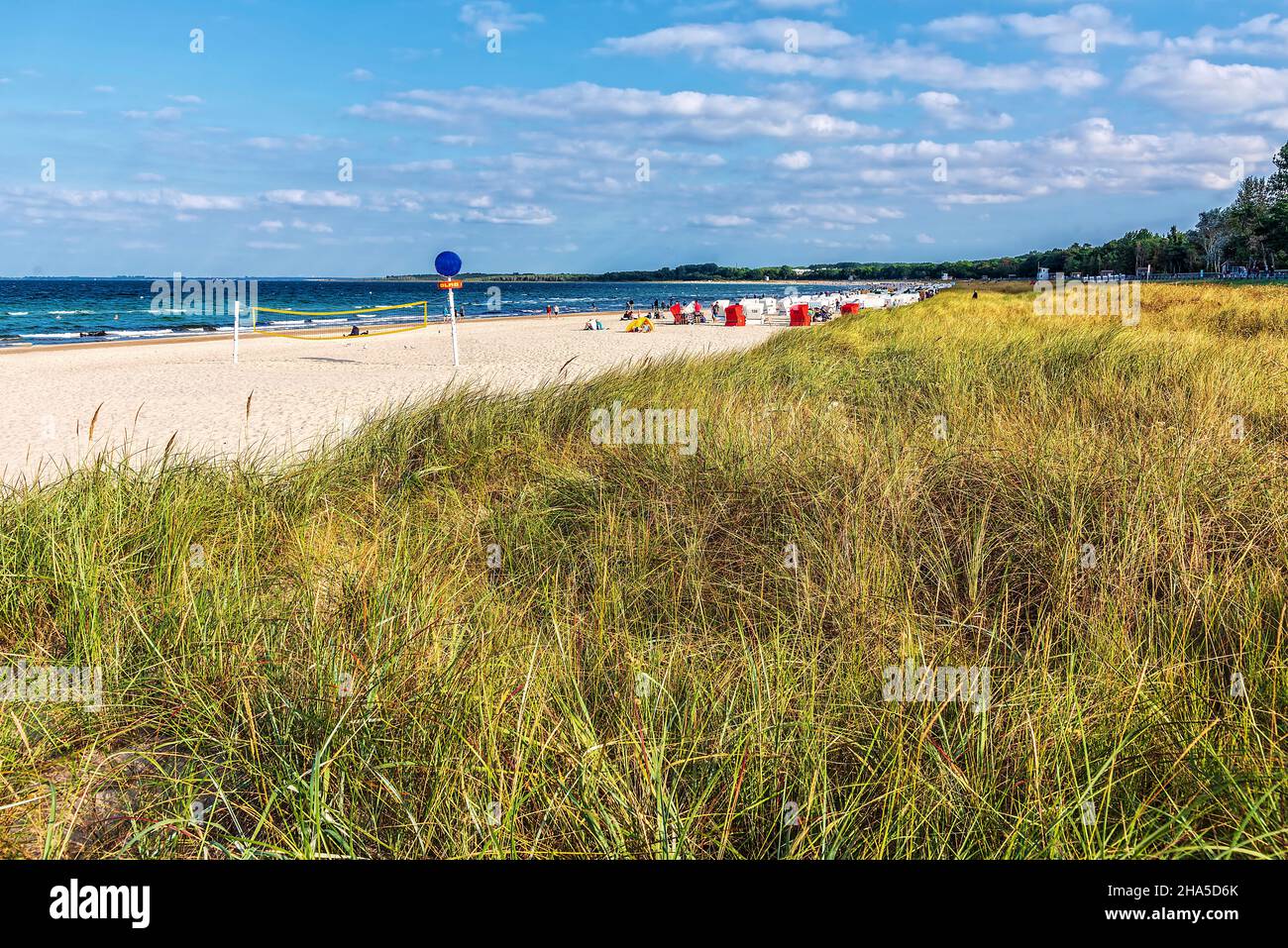 boltenhagen beach in mecklenburgwestern pomerania Stock Photo Alamy