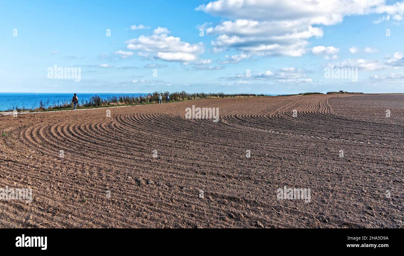 Field on the baltic coast at redewisch hi-res stock photography and ...