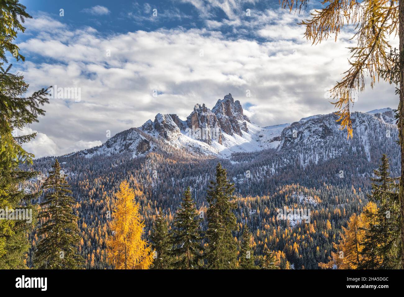 autumn view of croda da lago north face with snow and yellow  larches,dolomites,cortina d'ampezzo,belluno,veneto,italy Stock Photo - Alamy