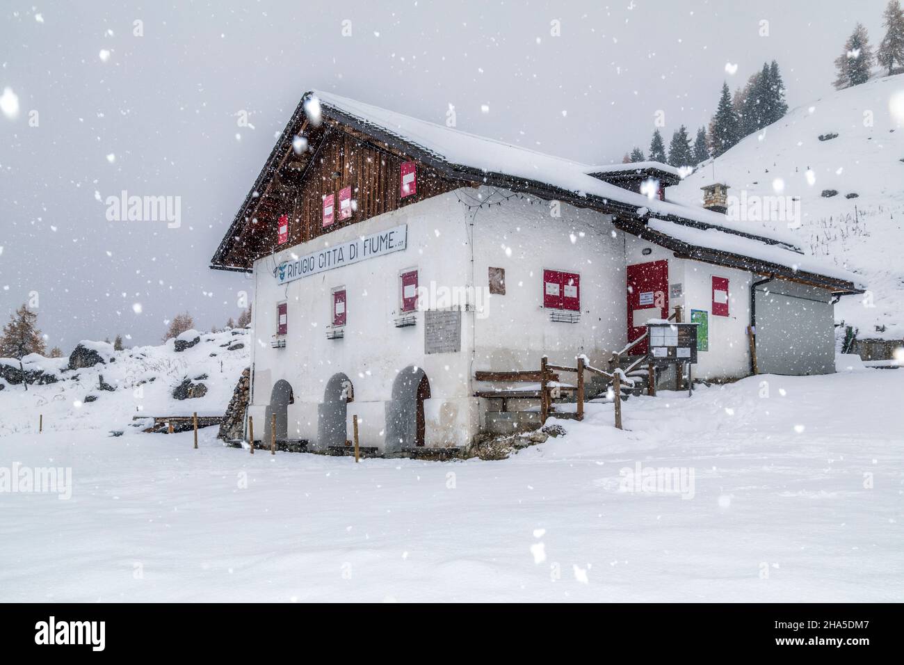 rifugio citta–€  di fiume,italian alpine hut in fiorentina valley in winter under a snowfall,borca di cadore,belluno,veneto,italy Stock Photo