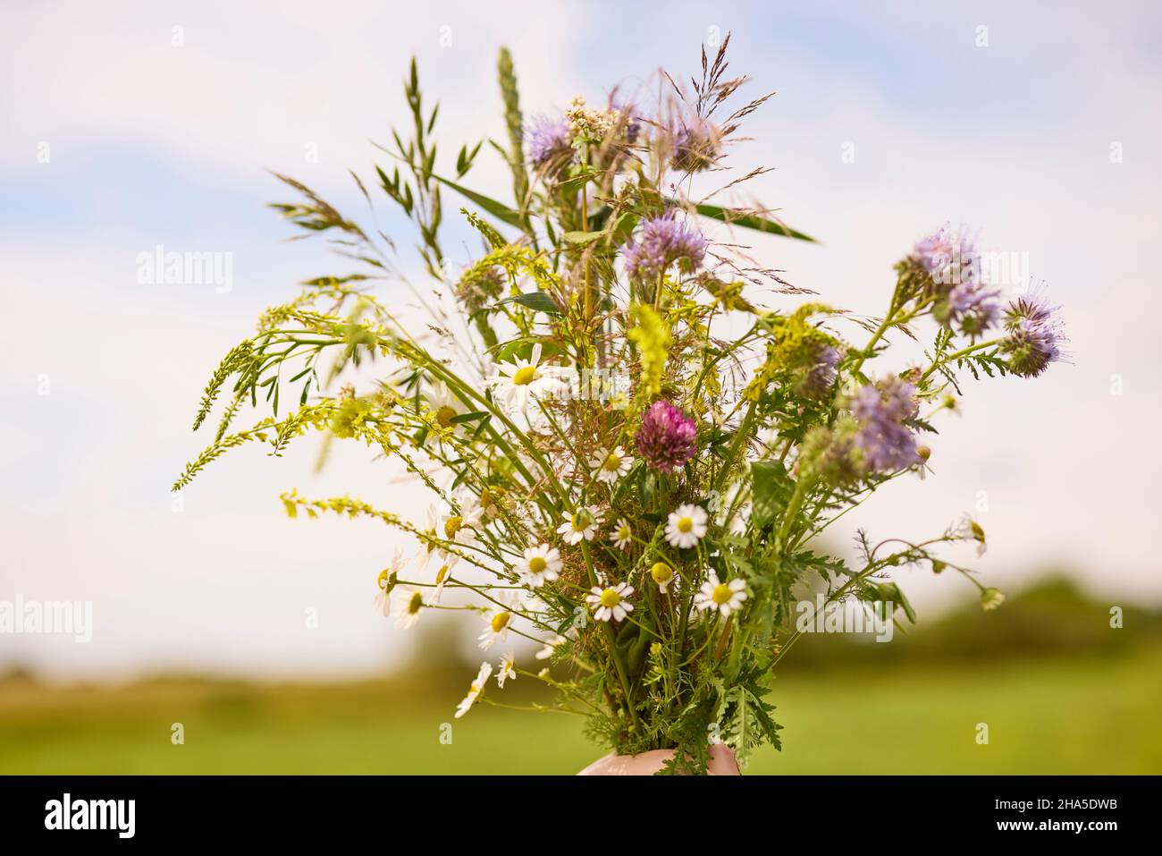 カシニョール 、【BUNCH OF FLOWERS IN MEADOW】 il_fullxfull.2340240709_k5kj.jpg