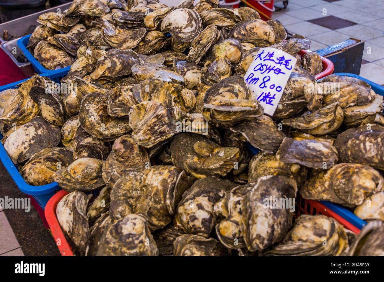 Oysters for sale in Kota Kinabalu, Sabah, Malaysia Stock Photo Alamy