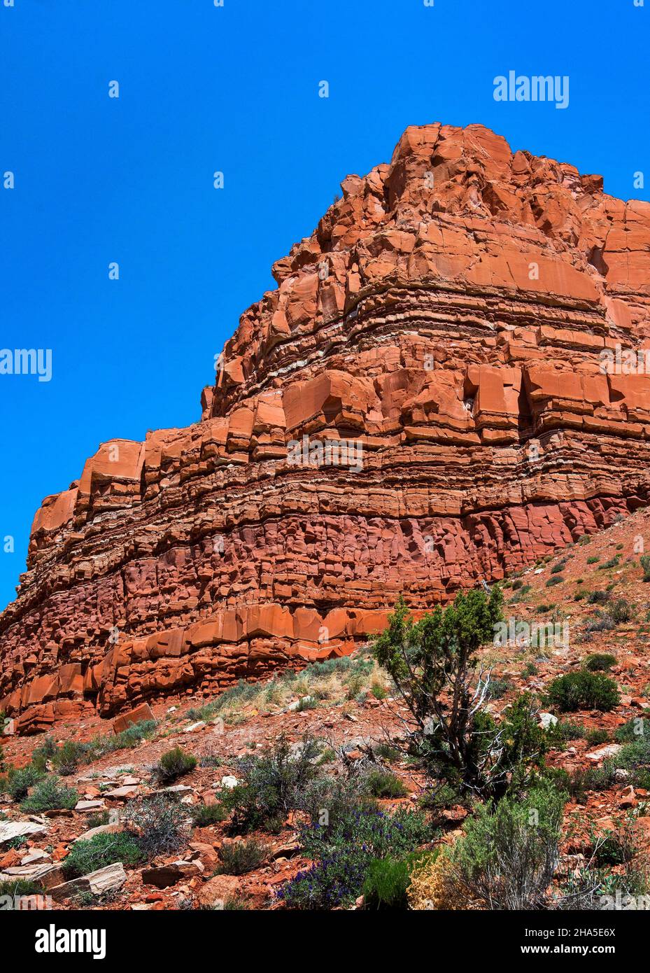 Rock Formations, Johnson Canyon, Kanab, Utah Stock Photo Alamy