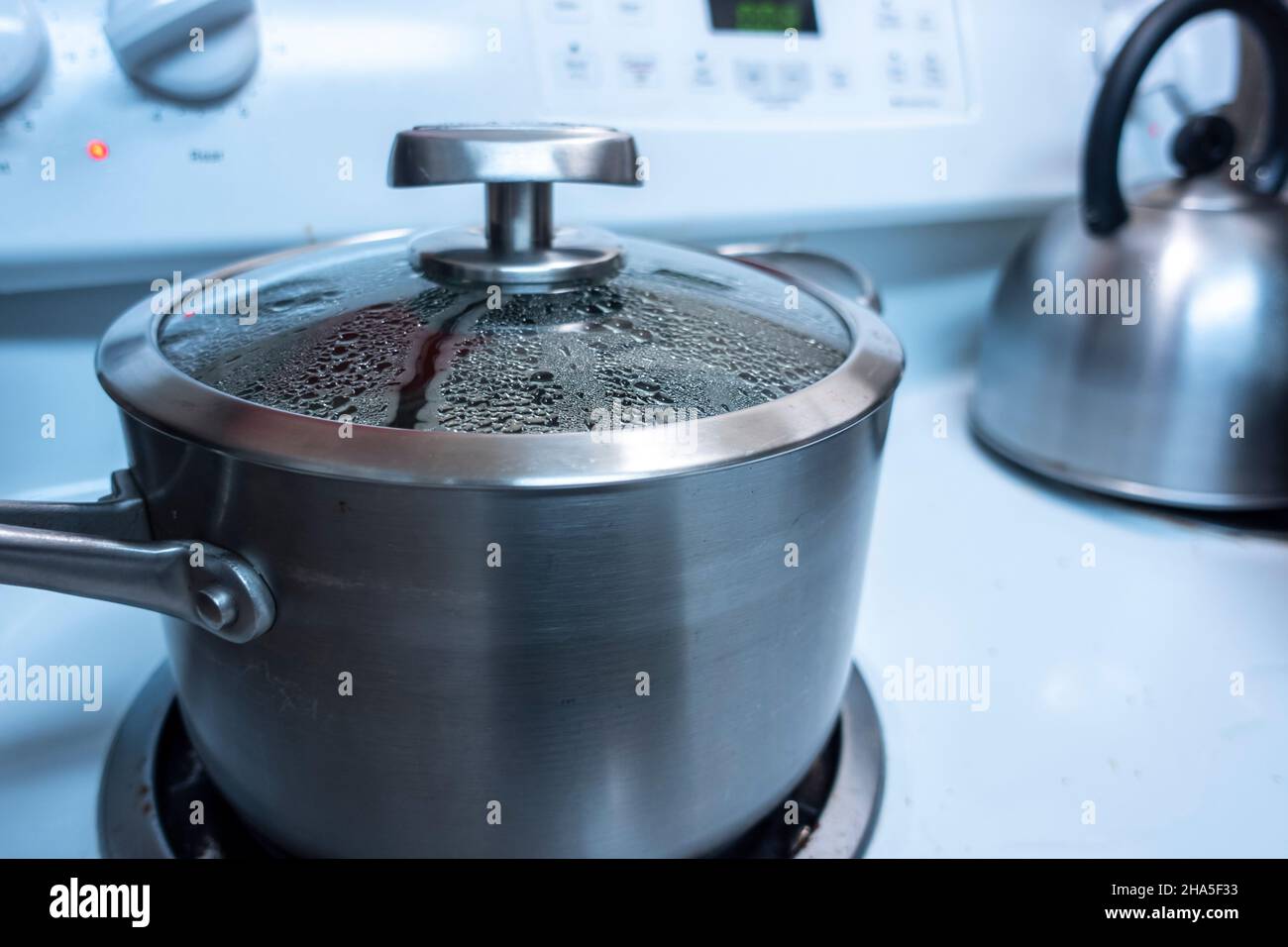 https://c8.alamy.com/comp/2HA5F33/close-up-view-of-a-large-silver-pot-with-the-lid-on-steam-forming-inside-as-it-keeps-a-cooked-meal-warm-on-a-stove-top-2HA5F33.jpg