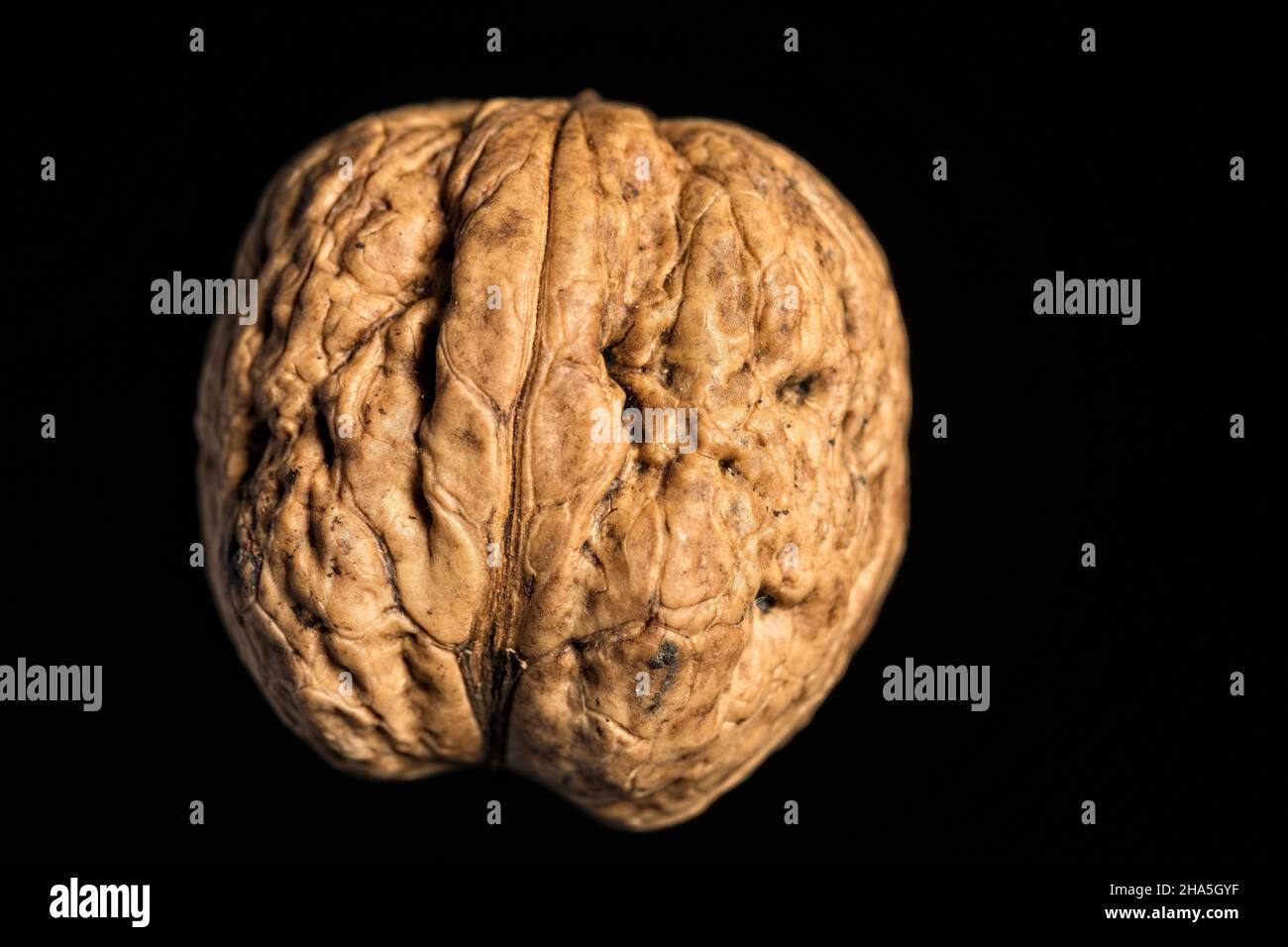 Detail of a nut shell Stock Photo - Alamy