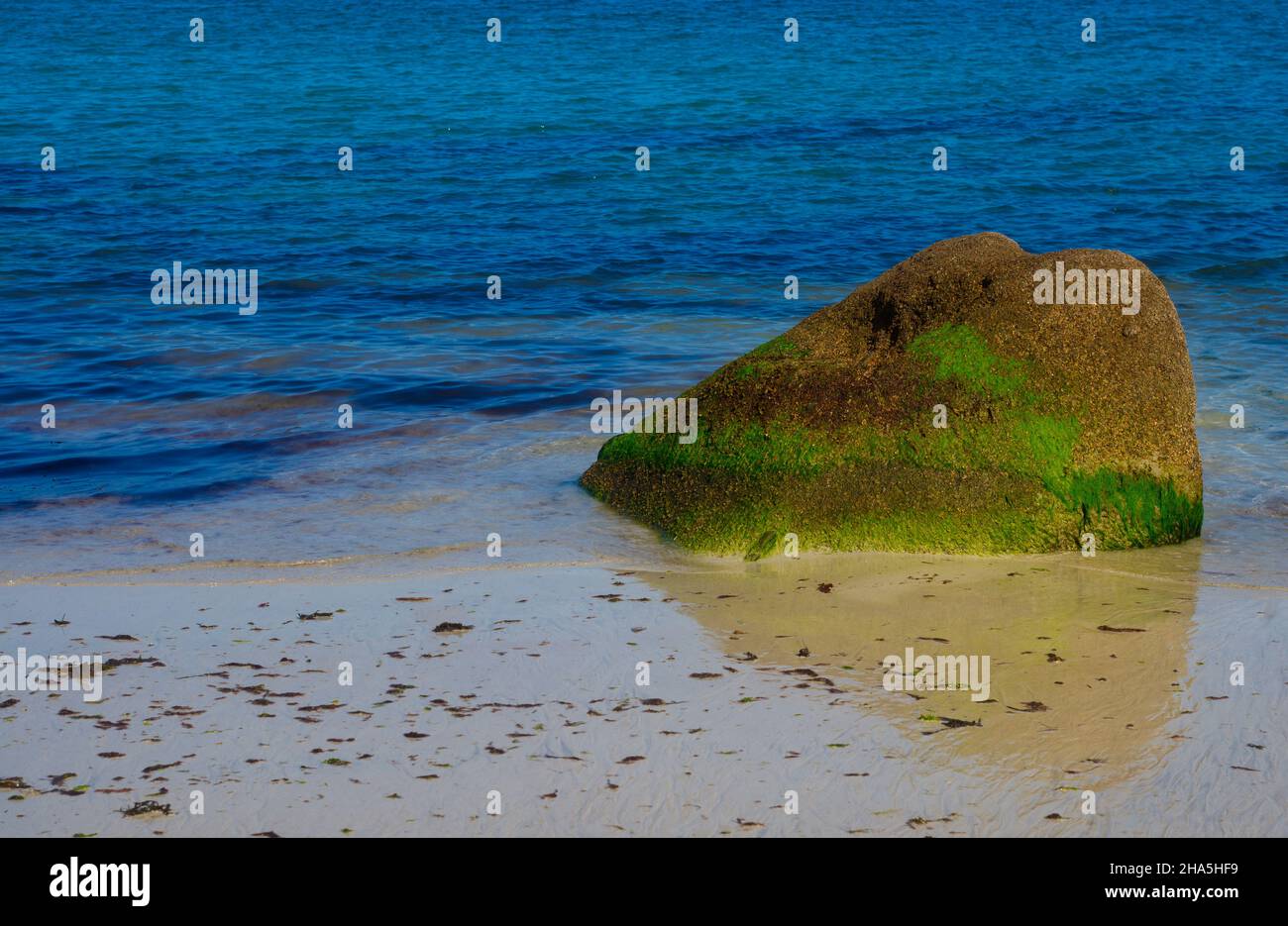 moss-covered rock,sandy beach,rocky coast along the sentier des douaniers,trégastel,côte de granit rose,cotes d'armor,brittany,france Stock Photo
