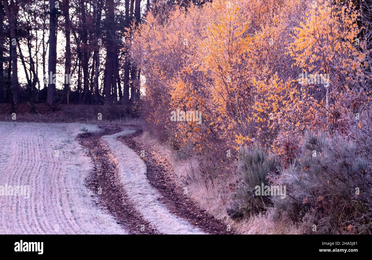 autumn mood in the district Stock Photo