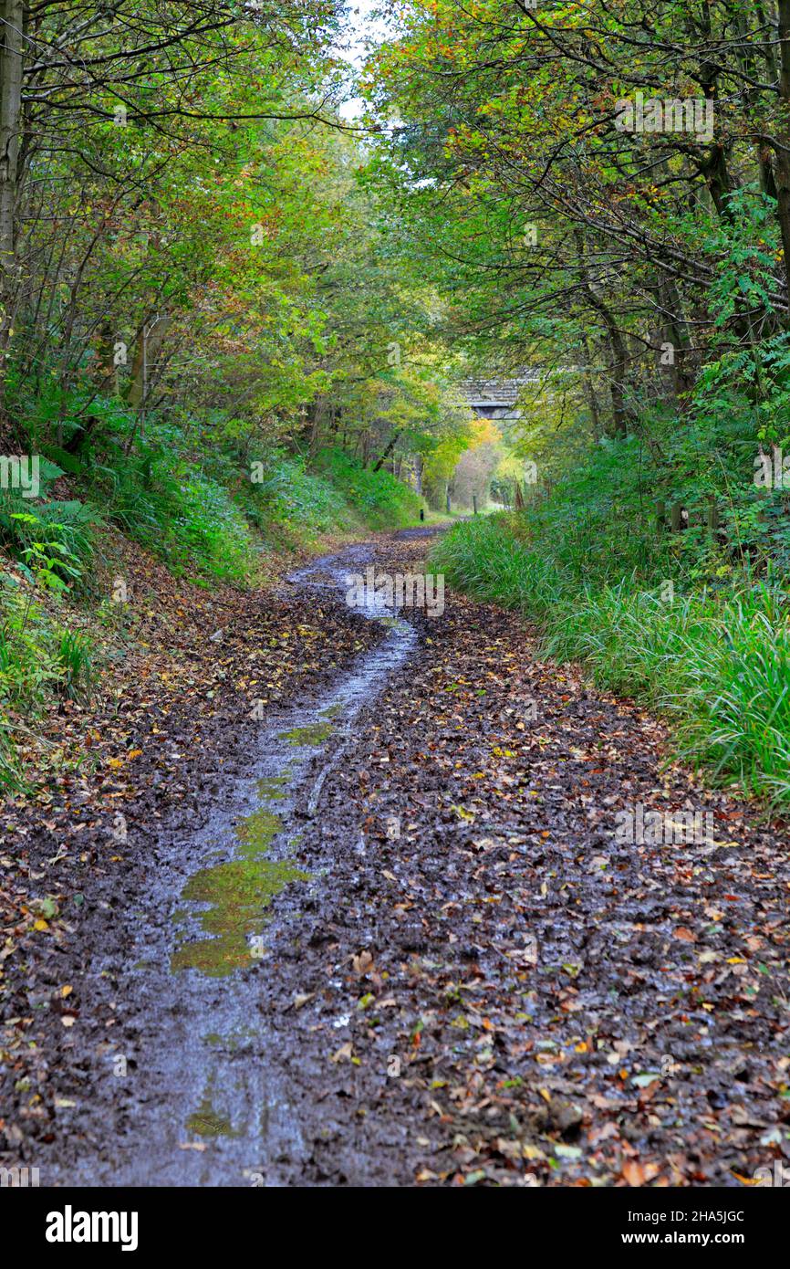 A muddy Upper Don Trail part of the Trans Pennine Trail at Wortley near Barnsley, South Yorkshire, England, UK. Stock Photo