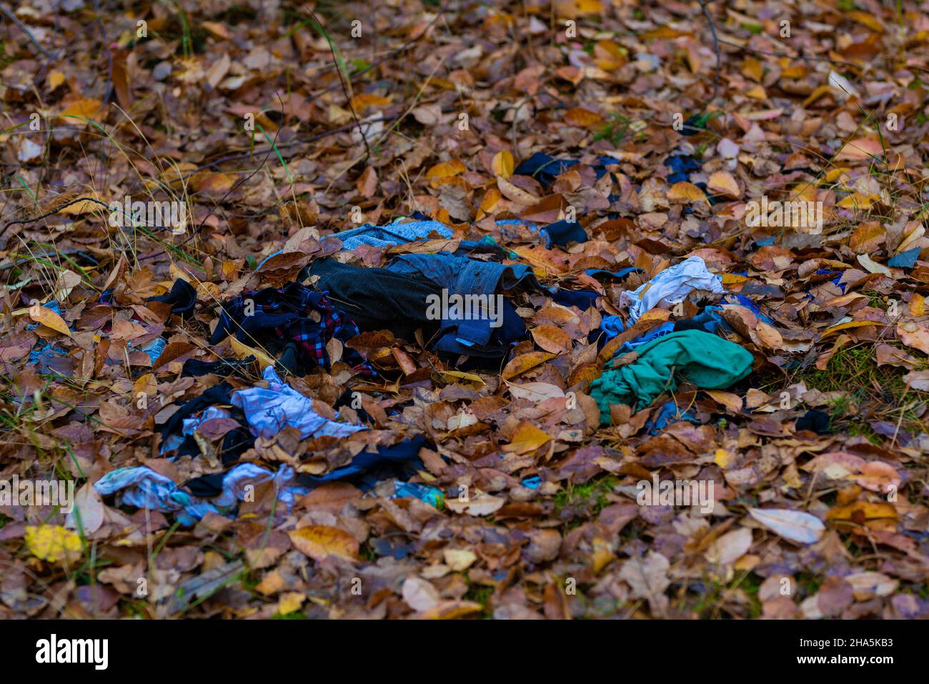Carelessly discarded old clothes in the forest hires stock photography