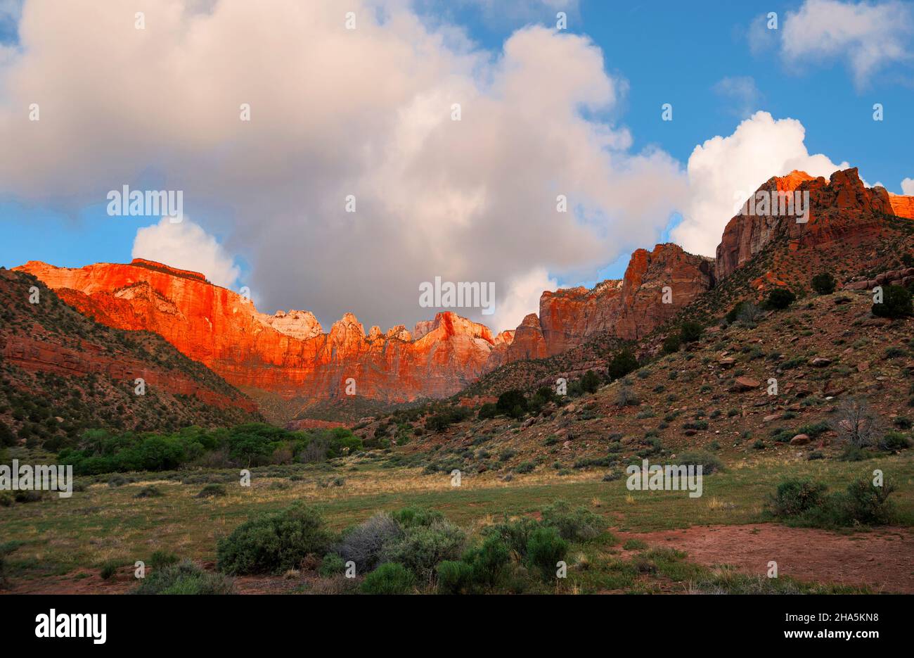 Alpenglow on Towers of the Virgin at Sunrise, Zion National Park, Utah Stock Photo