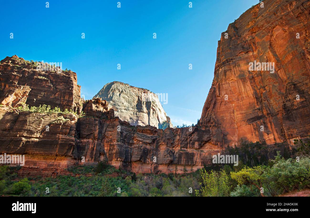 Big Bend is a breathtaking turn of the Virgin River in Zion National Park, Utah Stock Photo