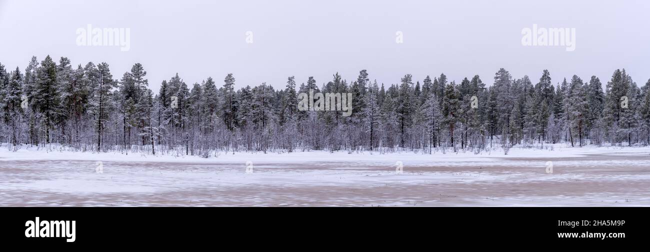 Frozen lake forest hi-res stock photography and images - Alamy