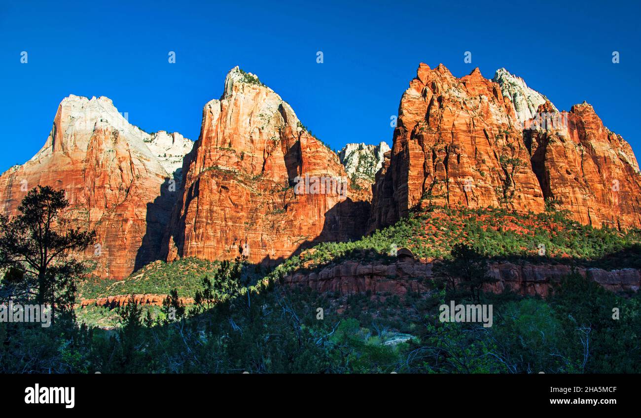 Court of the Patriarchs at Sunrise, Zion National Park, Utah Stock Photo
