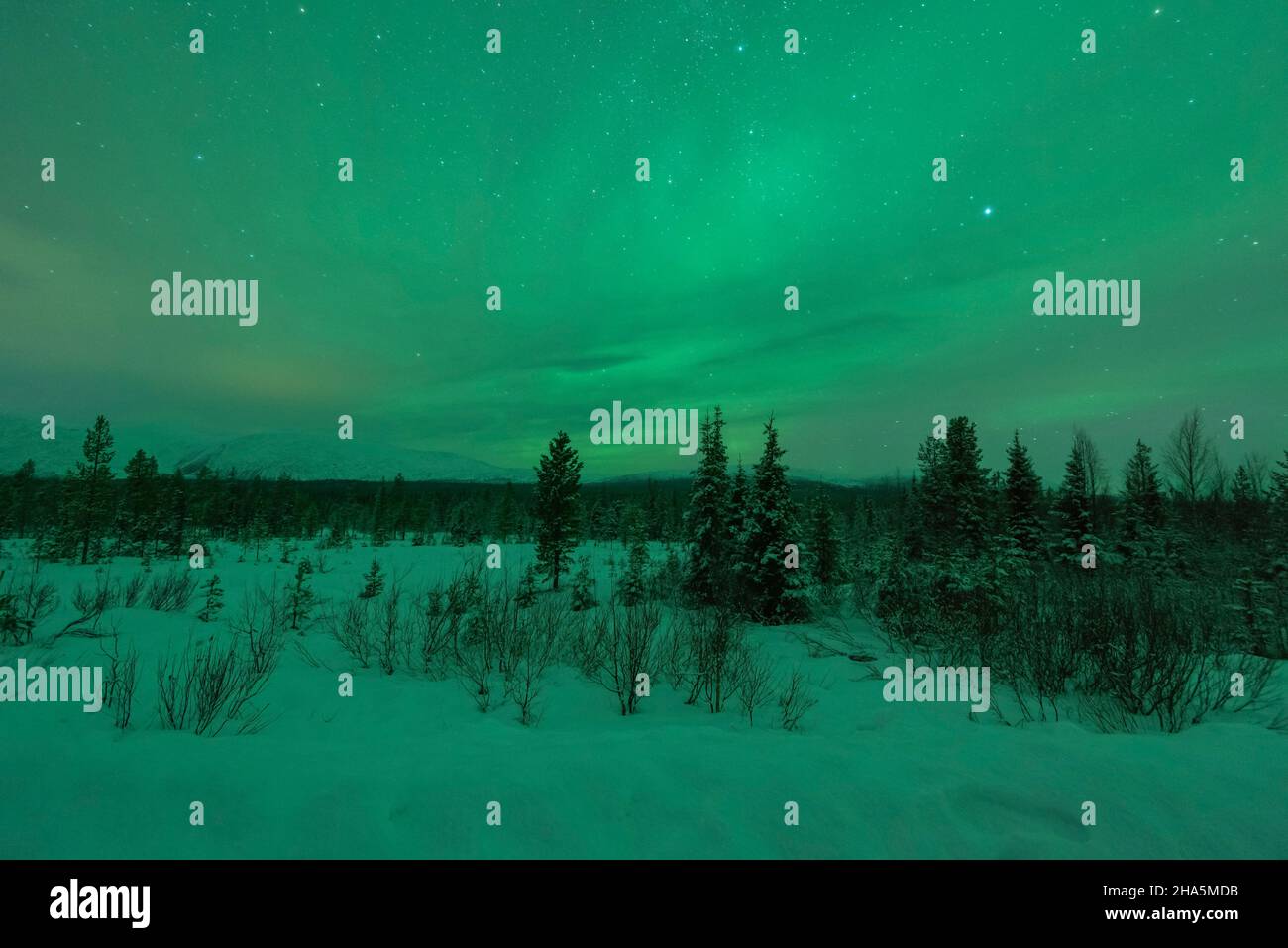 northern lights,aurora borealis,pallastunturi,lapland,finland Stock
