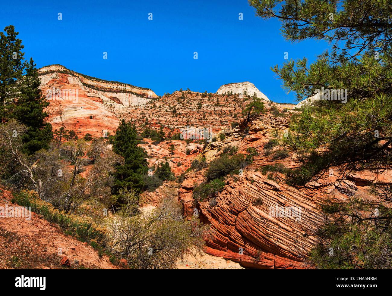 Rippled Swirls of Sandstone, Zion National Park, Utah Stock Photo