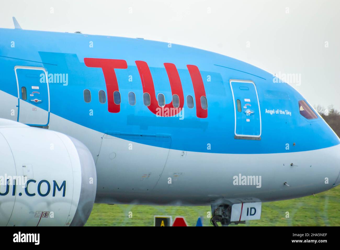 MANCHESTER, ENGLAND- 27 November 2021: Closeup of Tui logo on a TUI Boeing 787-8 Dreamliner Stock Photo
