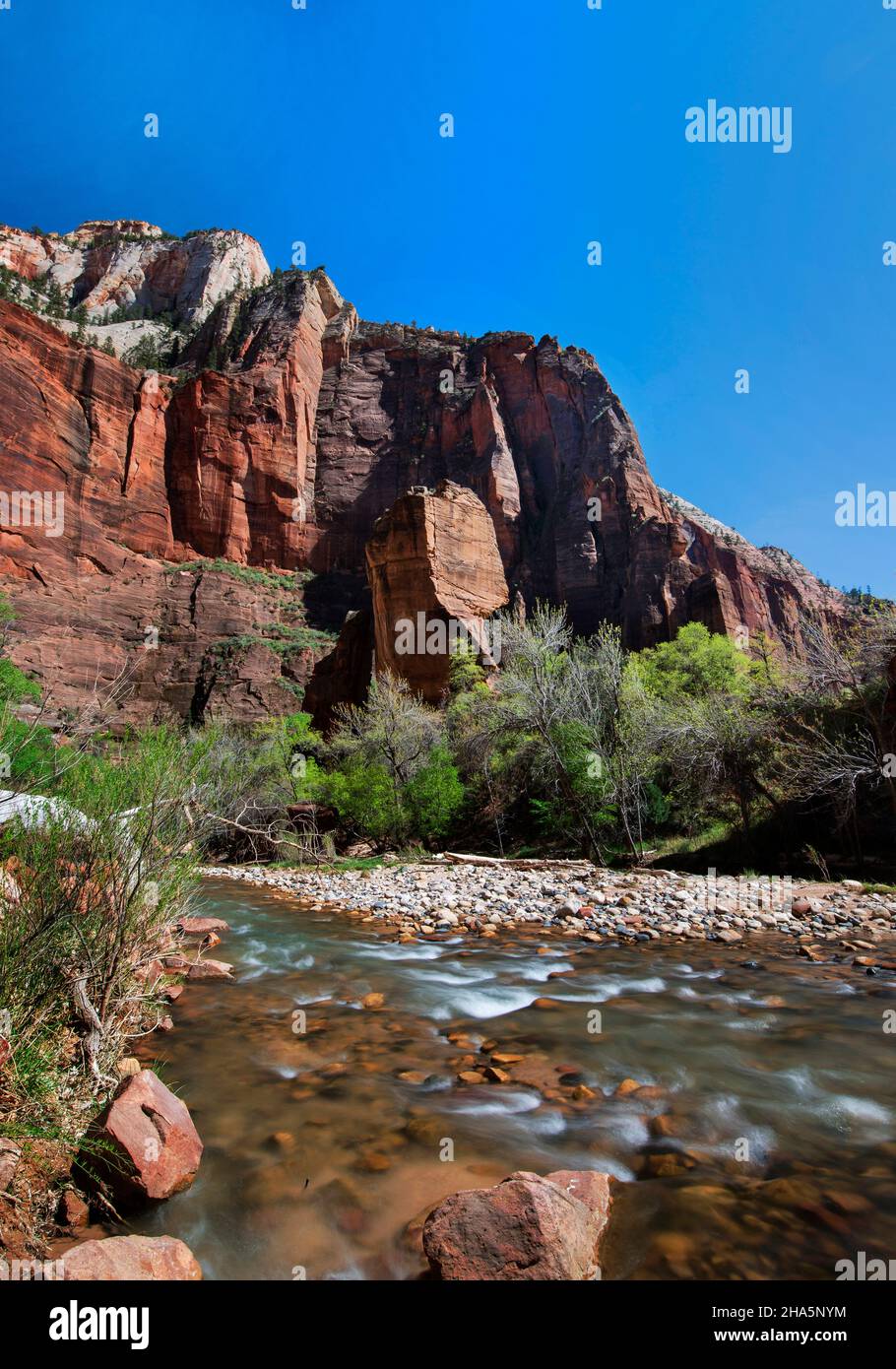 Temple of Sinawava Trail follows the Virgin River upstream through ever-narrowing canyons, Zion National Park, Utah Stock Photo