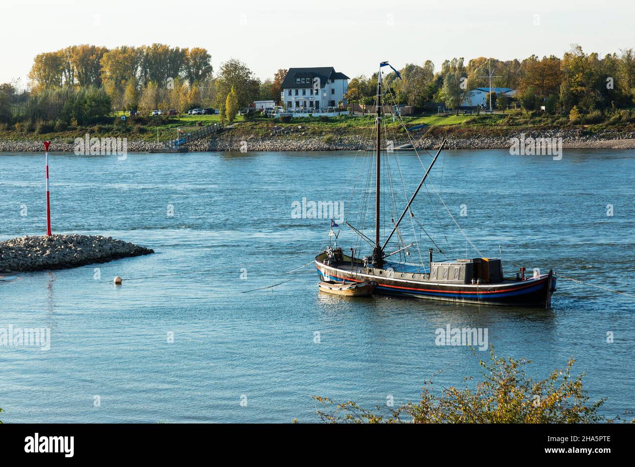 Common Eel Fisher Hi res Stock Photography And Images Alamy