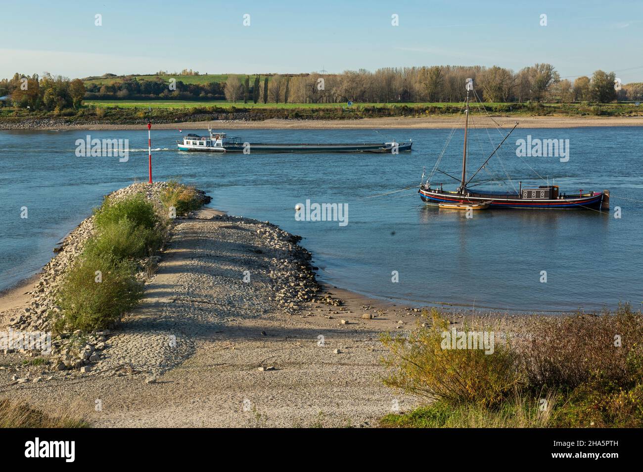 germany,monheim am rhein,bergisches land,niederbergisches land,niederberg,rhineland,north rhine-westphalia,north rhine-westphalia,rhine landscape,headland,cargo ship on the rhine,fishing boat aalschokker on the banks of monheim,boat of the rhine fishermen for catching eel in the rhine,behind the rhine bank dormagen Stock Photo