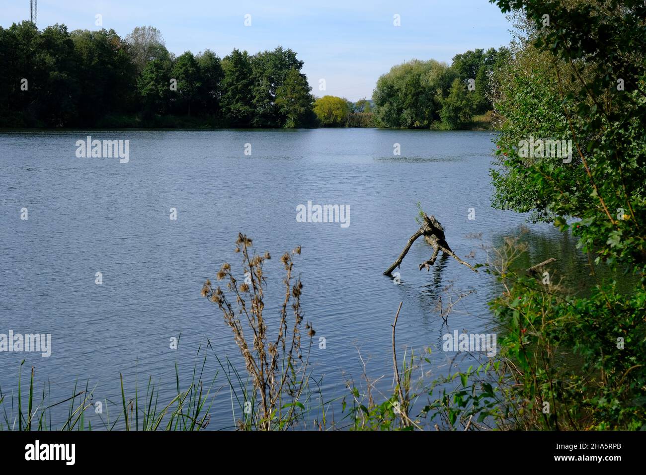 quarry ponds near dörfleins,part of the life nature project upper main valley,town of hallstadt,bamberg district,upper franconia,franconia,bavaria,germany Stock Photo
