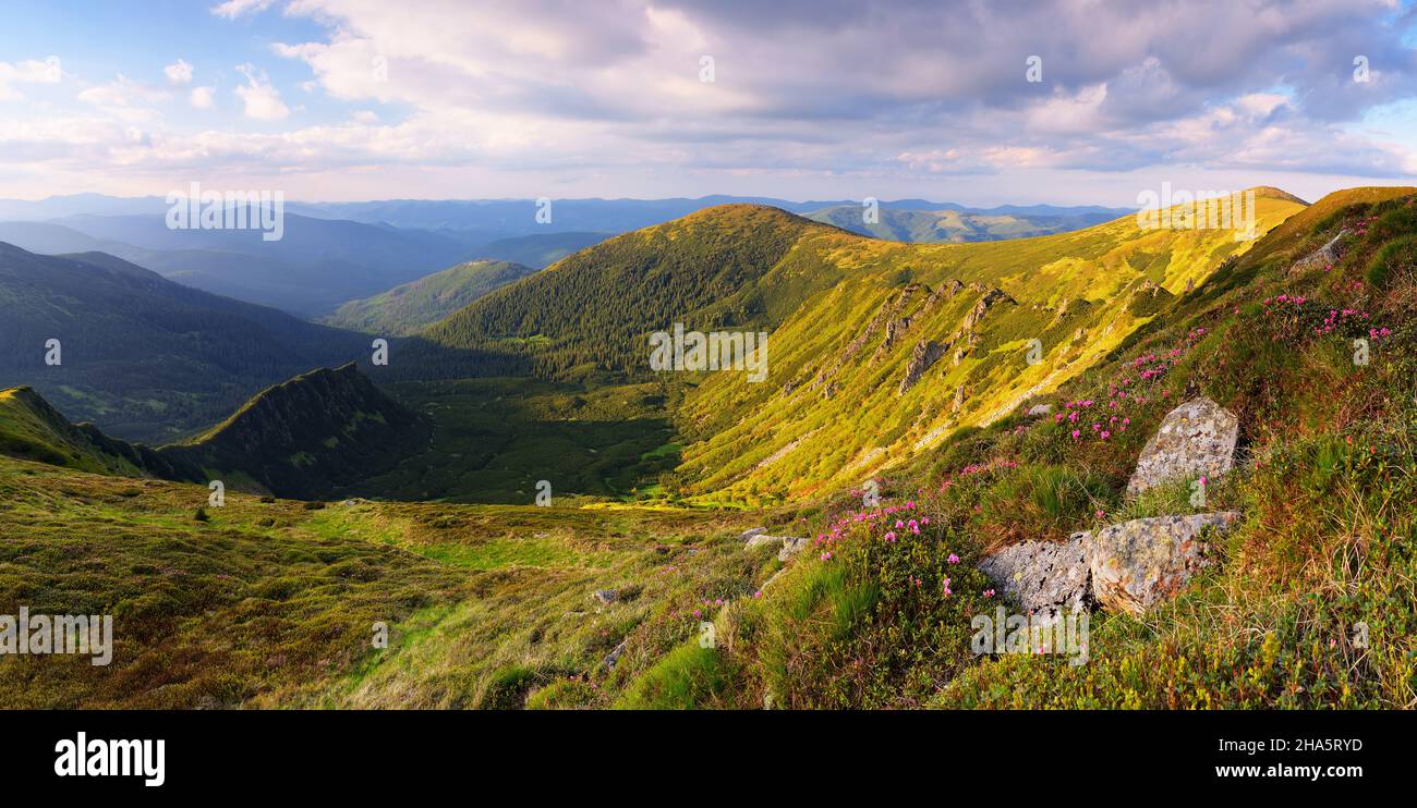 Summer panorama of mountains on a sunny evening Stock Photo
