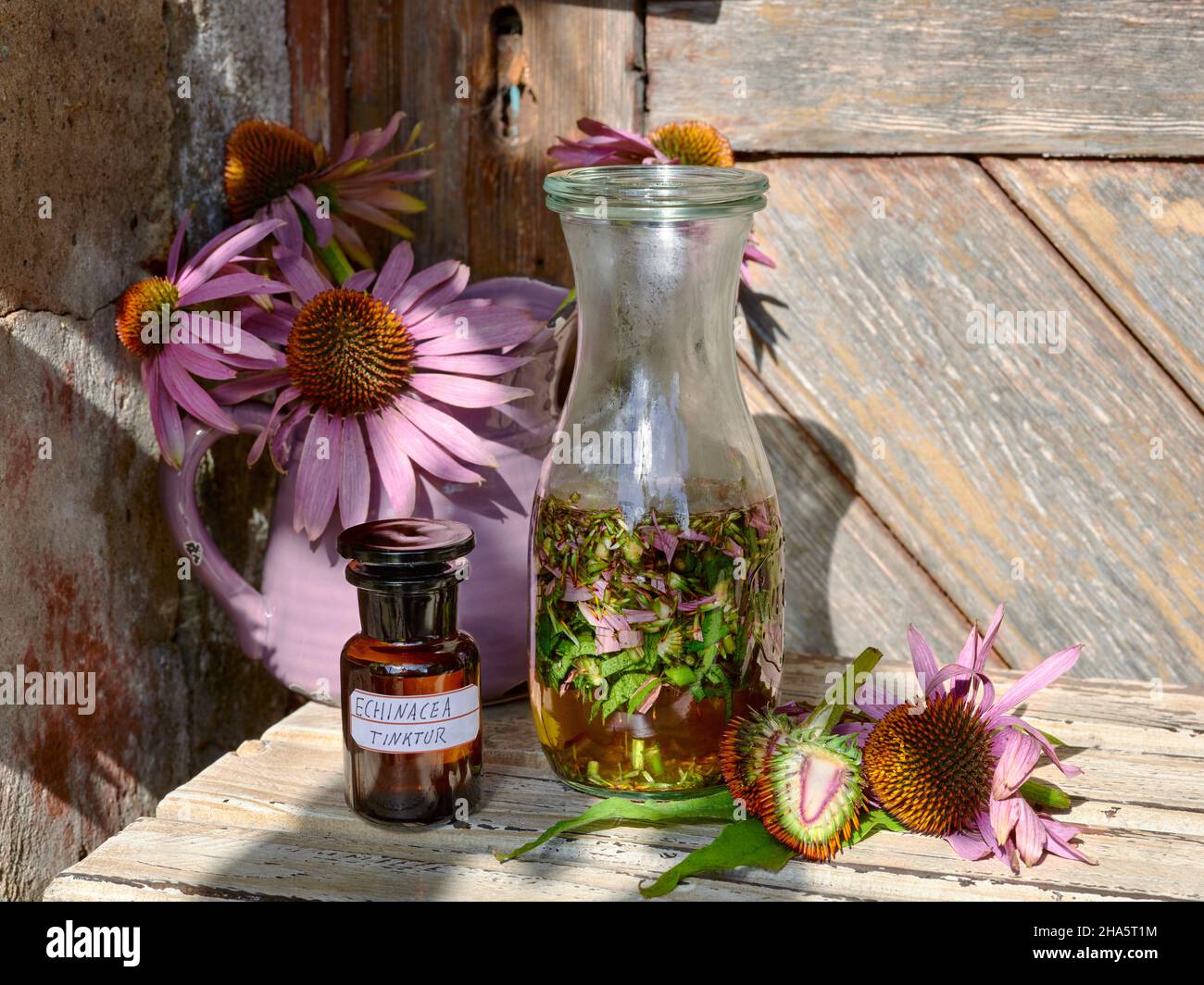 coneflower or echinacea tincture in a brown apothecary bottle,a wake-up bottle with crushed echinacea and two echinacea flowers,one of which is cut in half,on a wooden table in front of a jug with further flowers and a wooden door Stock Photo