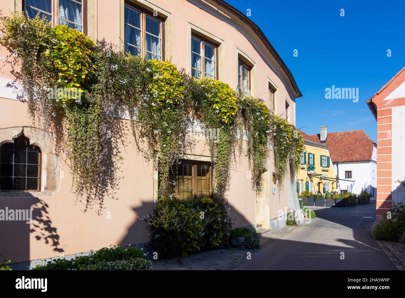 dürnstein,winery tegernseerhof in unterloiben in wachau,niederösterreich / lower austria,austria Stock Photo