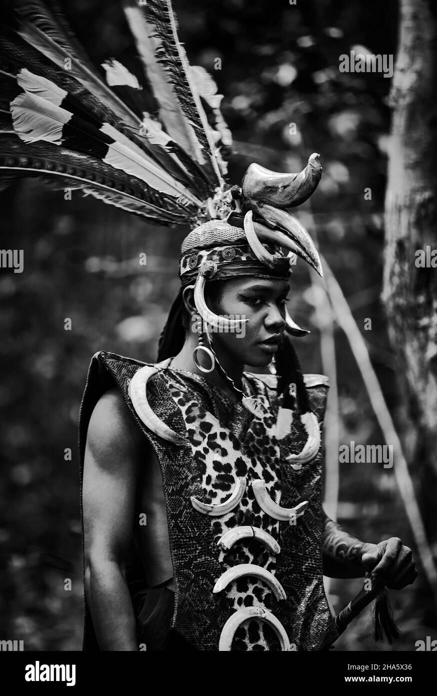 An indigenous male in traditional Dayak warrior costume, a hornbill head dress, in Central Kalimantan, Borneo, Indonesia. Stock Photo