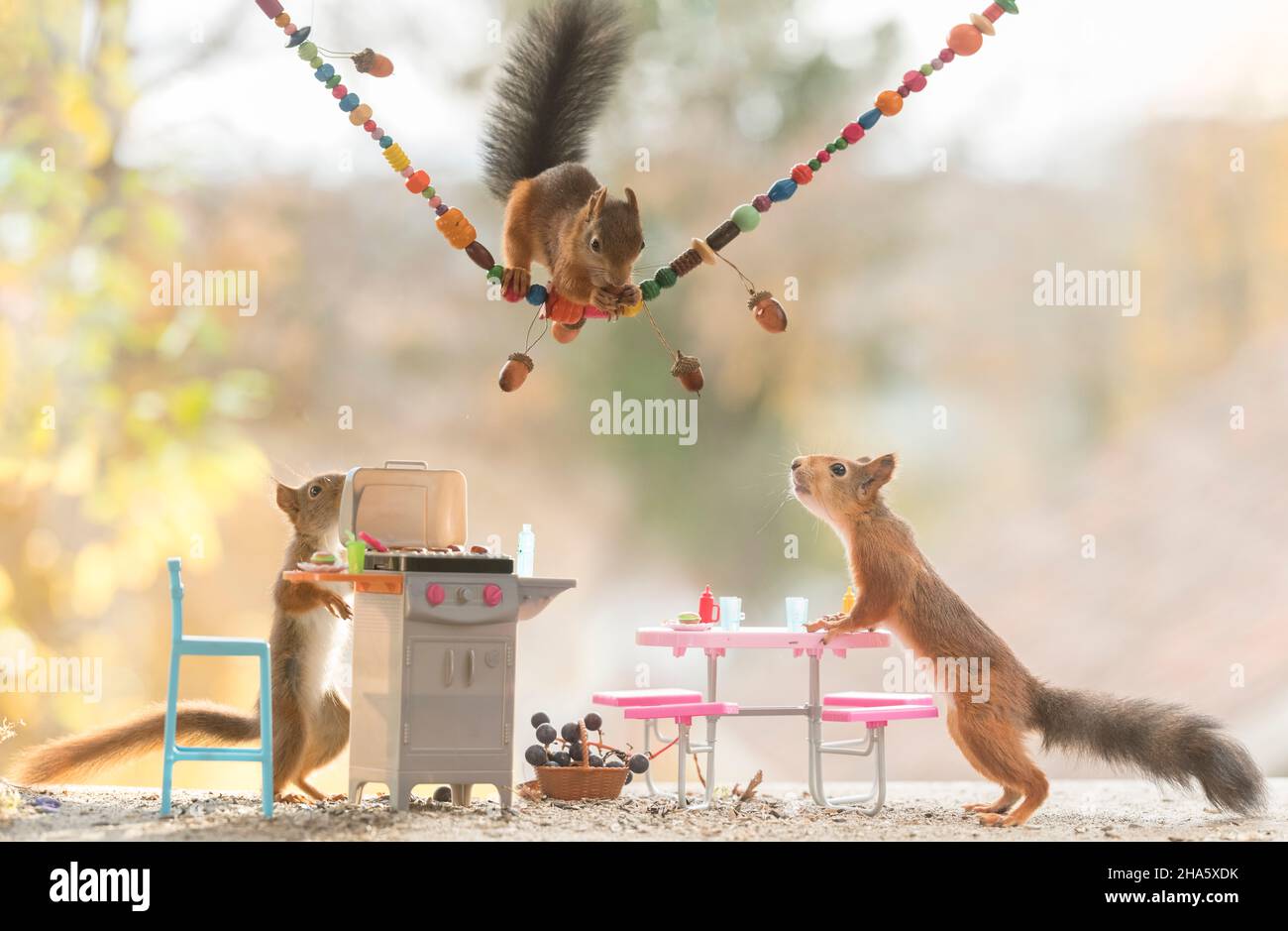 red squirrel in a barbecue scene Stock Photo Alamy